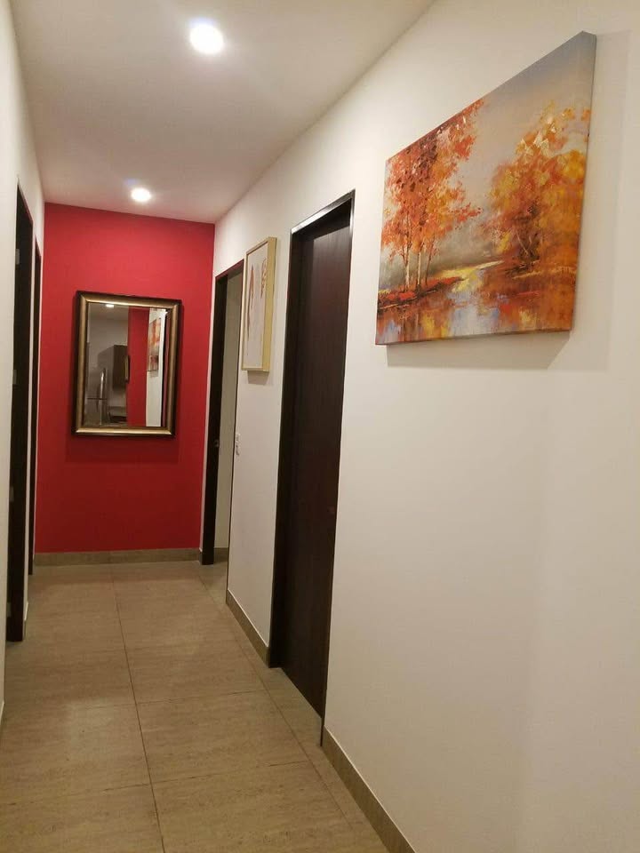 Apartamento amueblado en Col. Escalón